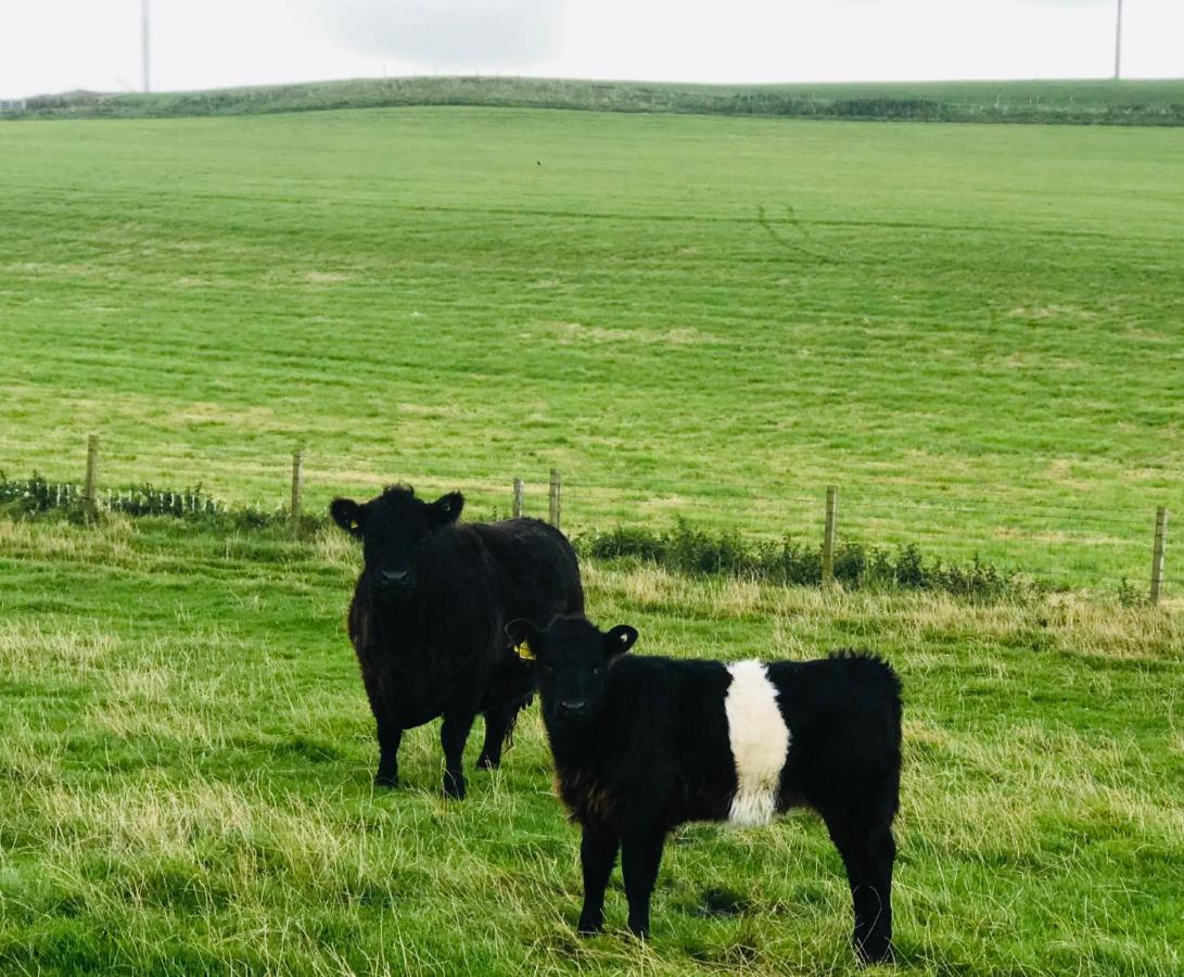 Bunnahabhain 5 - Farm Stay - Stunning Sea And Rural Views Stranraer Exteriör bild