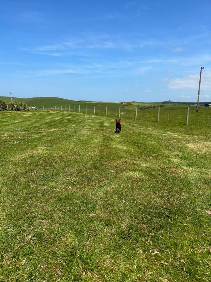 Bunnahabhain 5 - Farm Stay - Stunning Sea And Rural Views Stranraer Exteriör bild