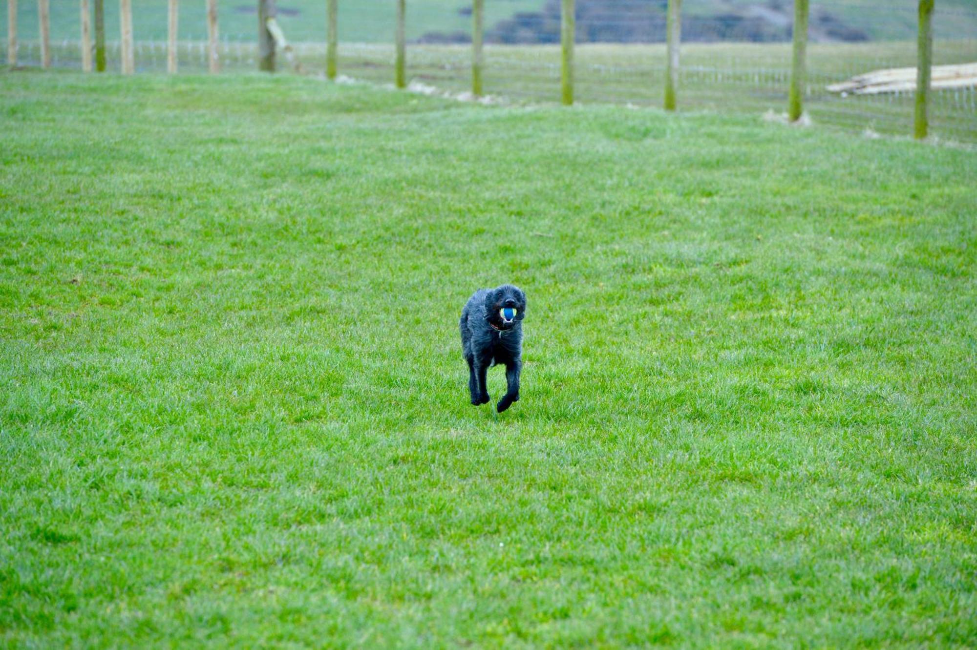Bunnahabhain 5 - Farm Stay - Stunning Sea And Rural Views Stranraer Exteriör bild
